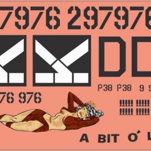 Boeing B17G "A Bit O' Lace" – Multi-Scale Waterslide Decals